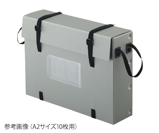 Display panel case for 10 A1 size panels A1-10 1 piece