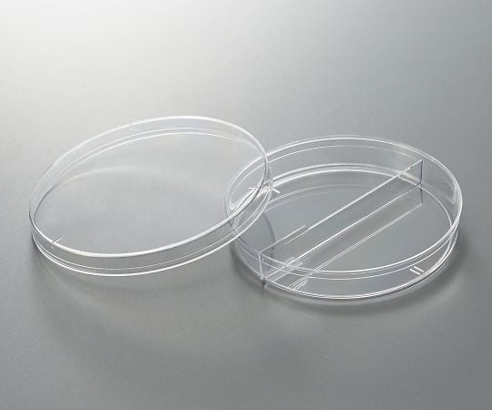 분할 샬레 2분할 500장입 25384-304 1상자(20장×25봉투입)