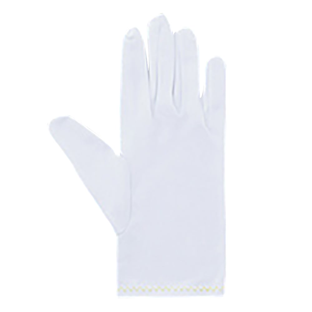 品質管理手袋（ナイロンダブル）　LL　10双入 1袋(10双入)