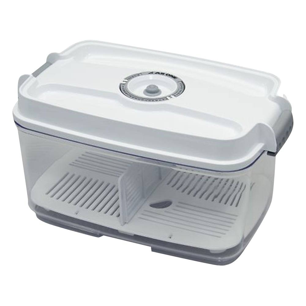 Simple Vacuum Box 4.5L x 1