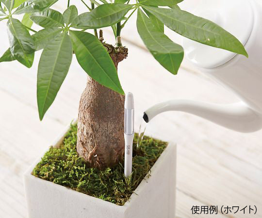 물 공급 체커(SUSTEE) L 화이트 C-0013 WH 1개