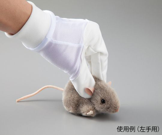 Lab Animal Gloves M Right Hand MG-M 1 piece