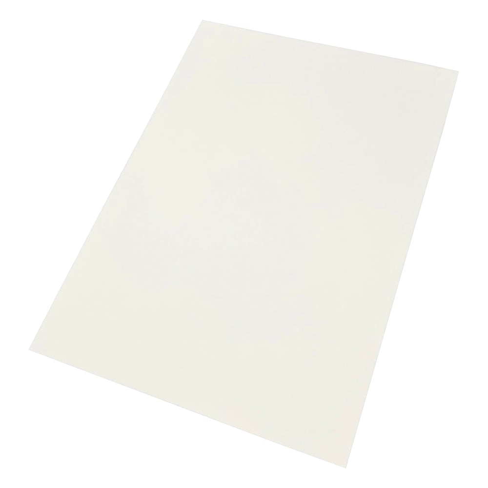 Waterproof paper for laser printers (PET type) A3 100 sheets S3885-59 1 bag (100 sheets)