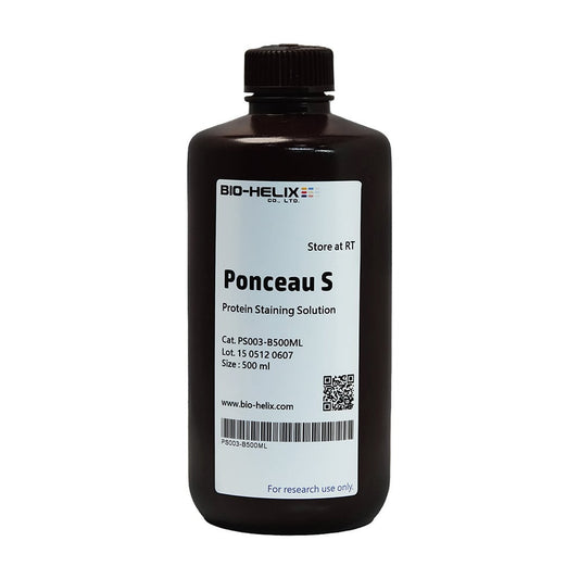 ウェスタンブロット検出試薬 タンパク質染色試薬 1本（500mL入）　PS003-B500ML 1本(500mL入)