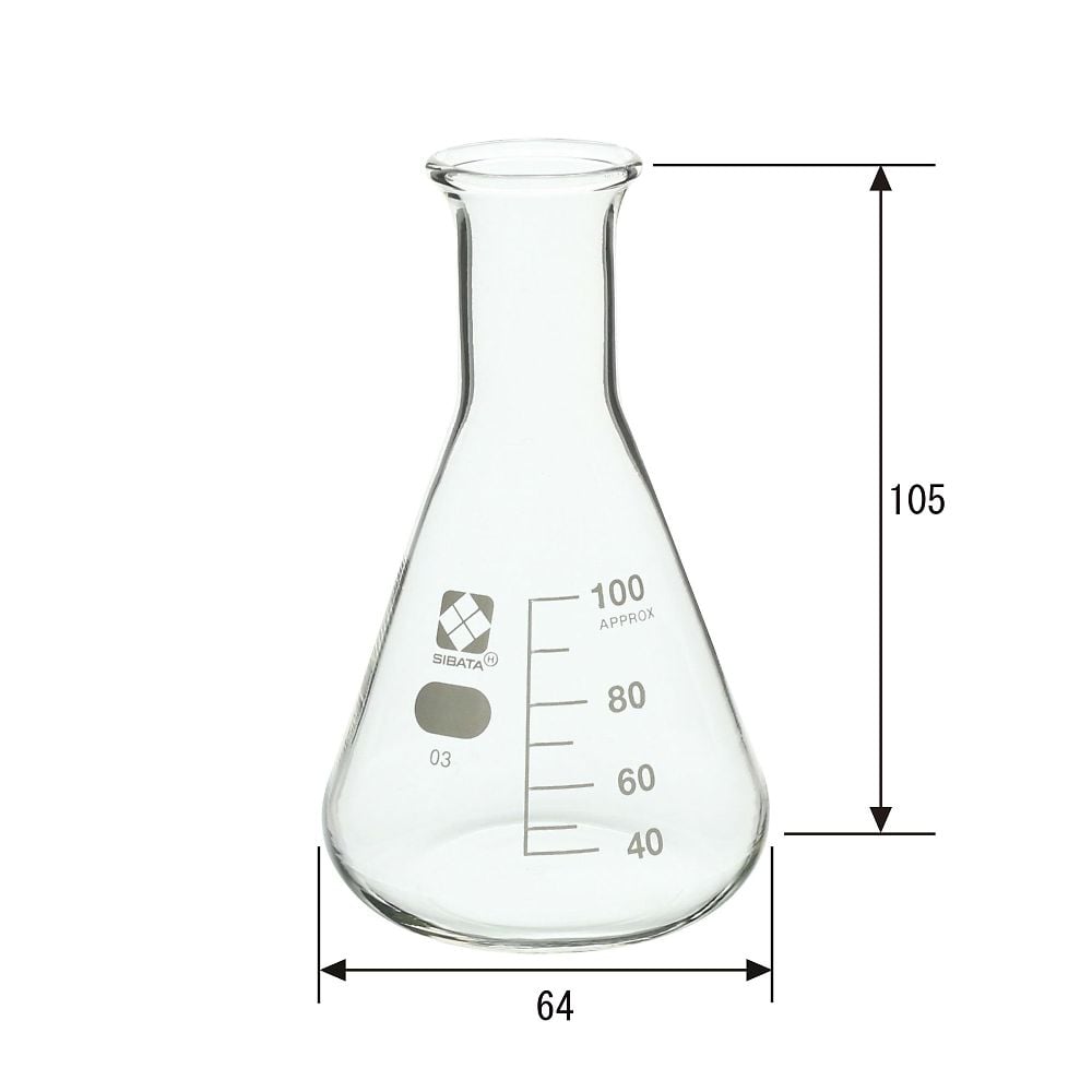 三角フラスコ　100mL　1本入　010530-100A 1本