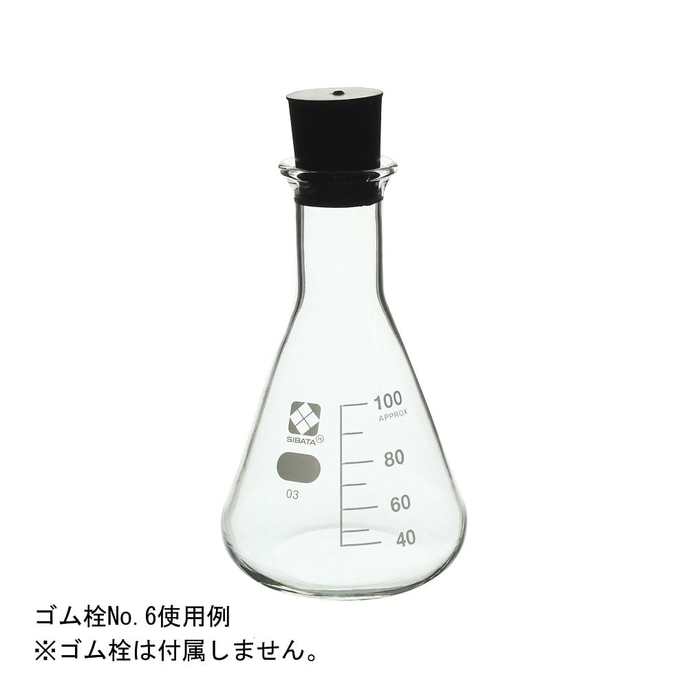 三角フラスコ　100mL　1本入　010530-100A 1本