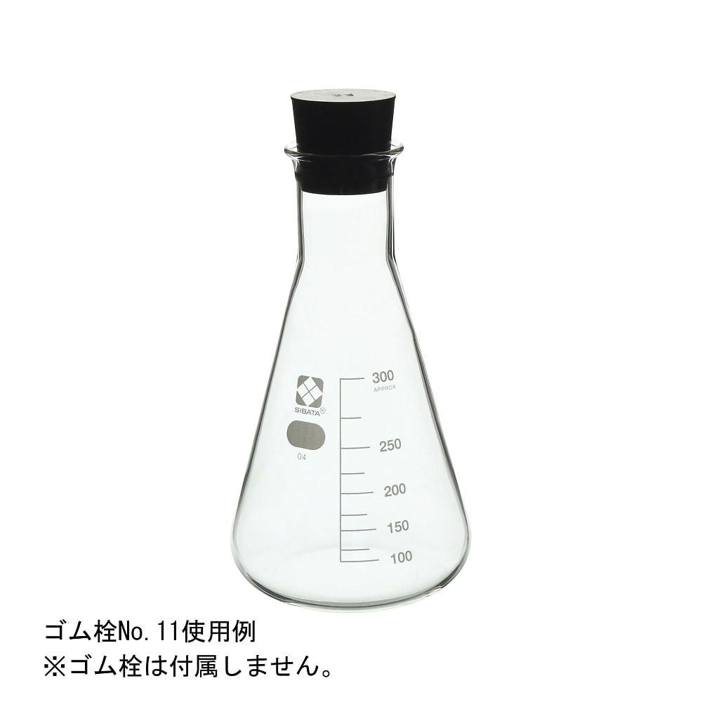 三角フラスコ　300mL　1本入　010530-300A 1本