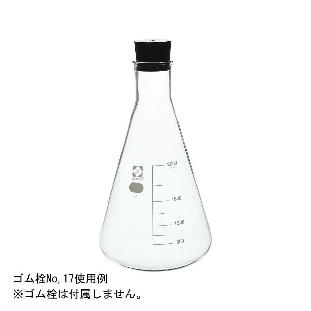 三角フラスコ　2000mL　010530-2000 1本