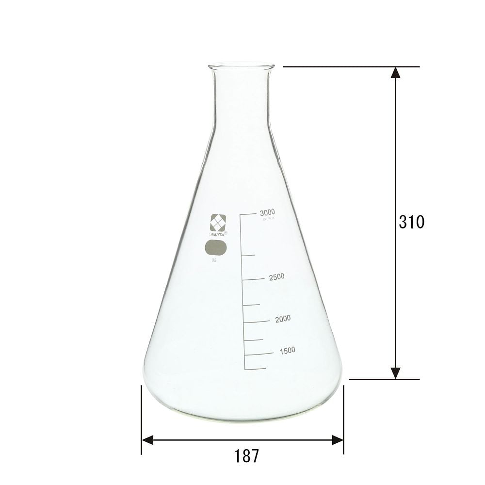 三角フラスコ　3000mL　010530-3000 1本