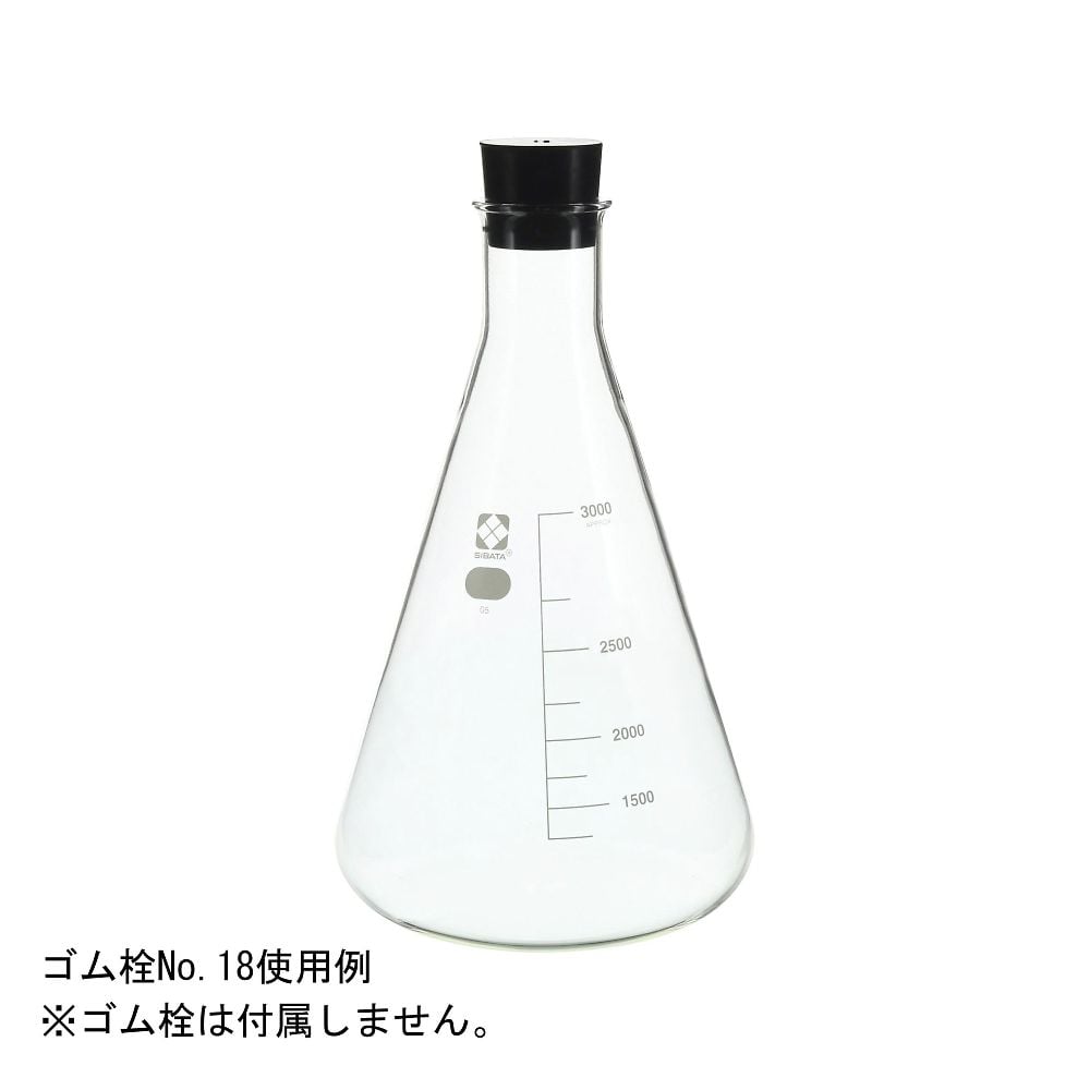 三角フラスコ　3000mL　010530-3000 1本