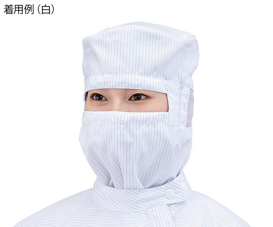 애즈퓨어 클린 푸드 II 핑크 2L 1장