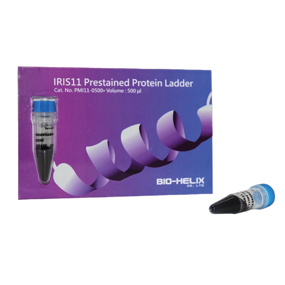 Pre-stained protein ladder marker 3-260kDa 1 bottle (500μL) PMI11-0500 1 bottle (500μL)