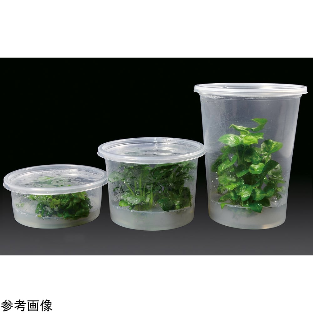 植物培養容器（PhytoCon）樹脂容器 946mL+ベントなしフタ 250個入　C221-250EA 1箱(250個入)