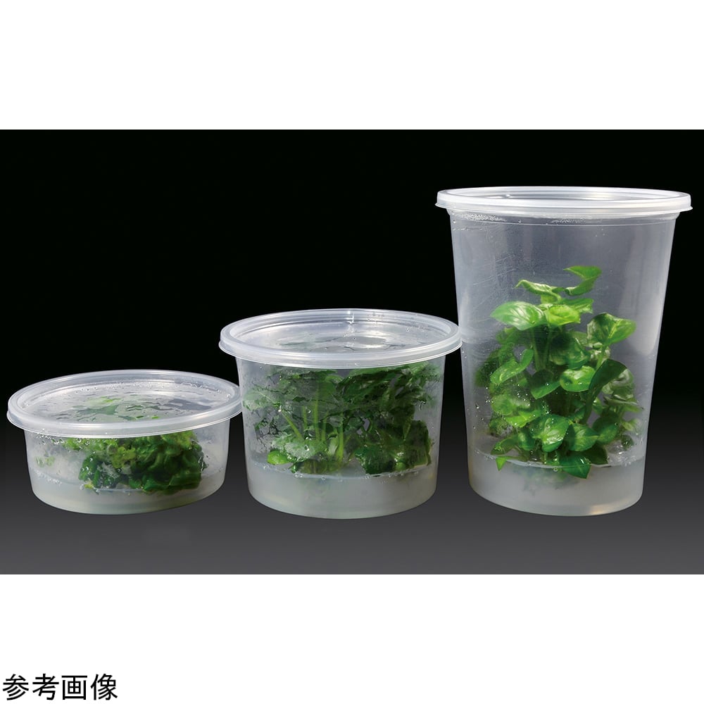 植物培養容器（PhytoCon）樹脂容器 237mL+ベントなしフタ 250個入　C209-250EA 1箱(250個入)