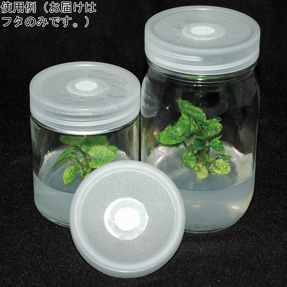 植物培養容器 ベント付きフタ 25個入　C170-25EA 1箱(25個入)