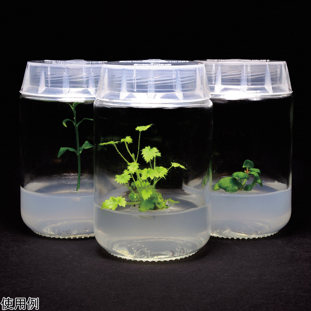 植物培養容器 ガラス容器 220mL 100個入　C1770-100EA 1箱(100個入)