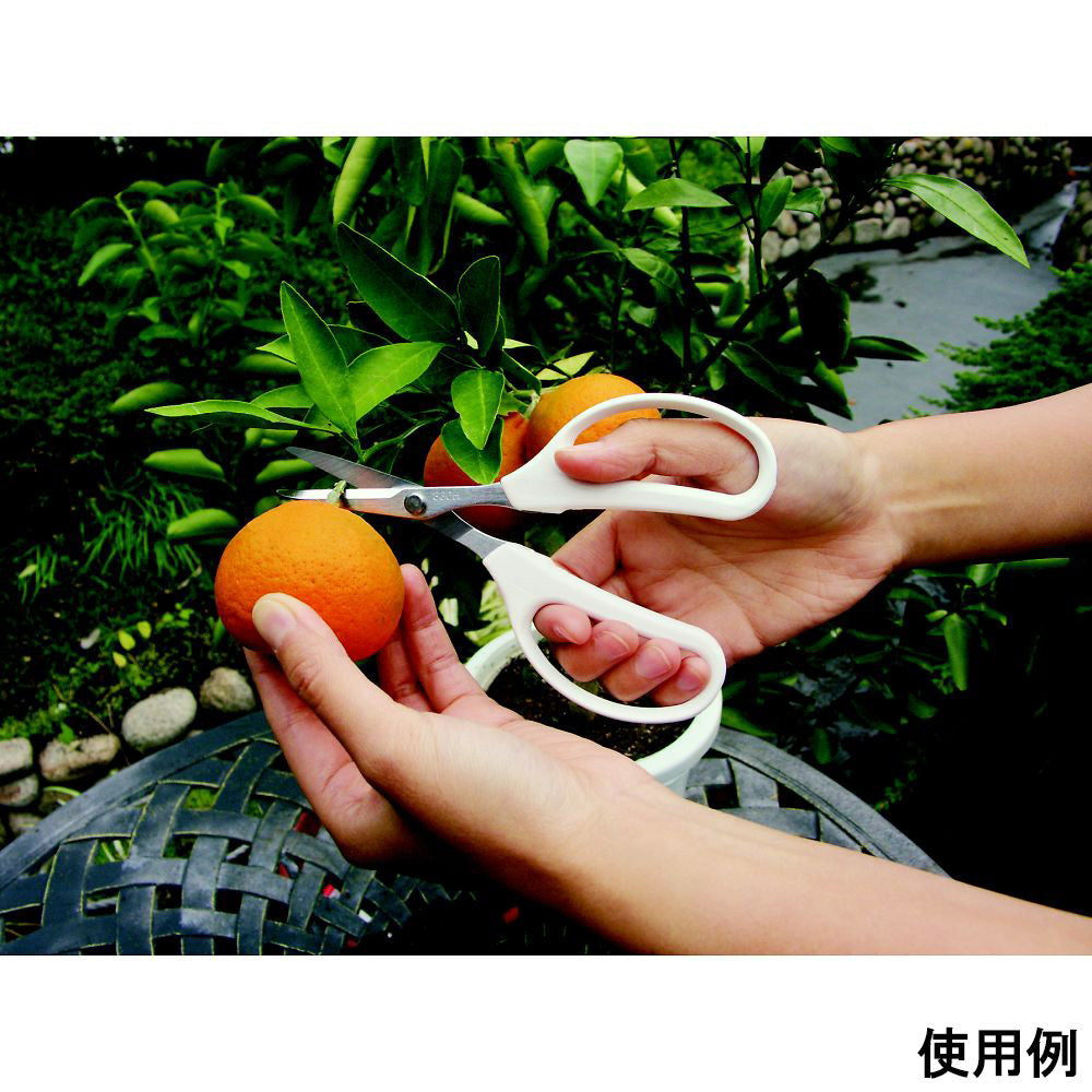 園芸用多用途鋏 クラフトチョキ ホワイト 右利き用　EG-330H-W 1個