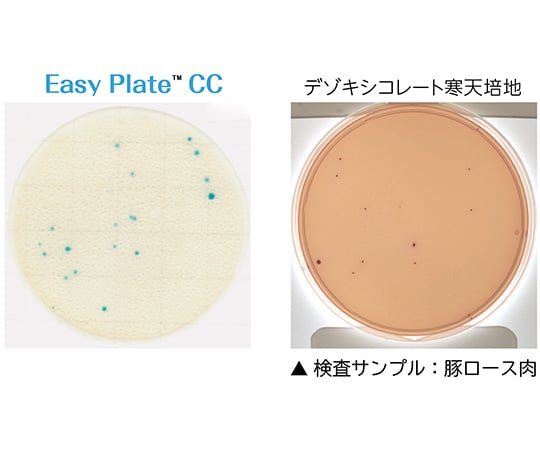 EasyPlate 大腸菌群数測定用（25枚/袋×4袋入）CC　61974 1箱(25枚×4袋入)