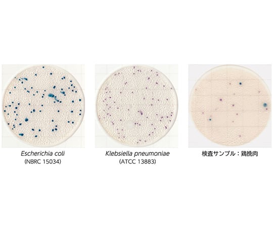 EasyPlate 大腸菌・大腸菌群数測定用（25枚/袋×4袋入）EC　61975 1箱(25枚×4袋入)