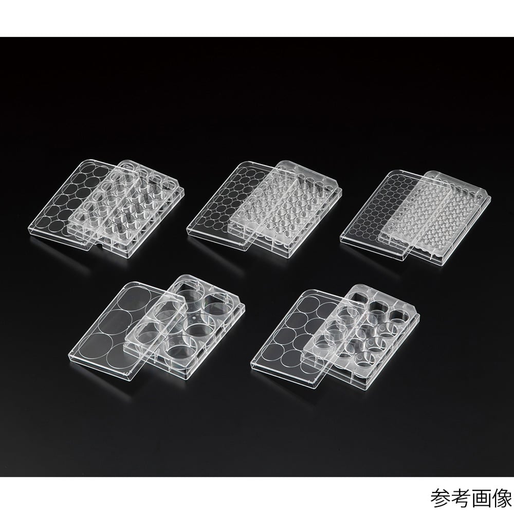 비오라모 부유 세포용 배양 플레이트α 6웰 1상자(50포입) VFα-P6 1상자(50포입)