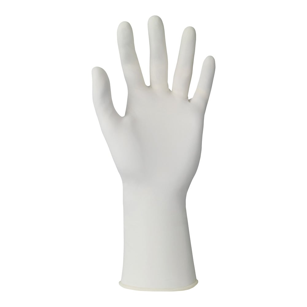 Cleanroom Nitrile Gloves (93311) L (8.5-9) 1 pack (50 pieces/bag x 2 bags) 93311090 1 pack (50 pieces x 2 bags)