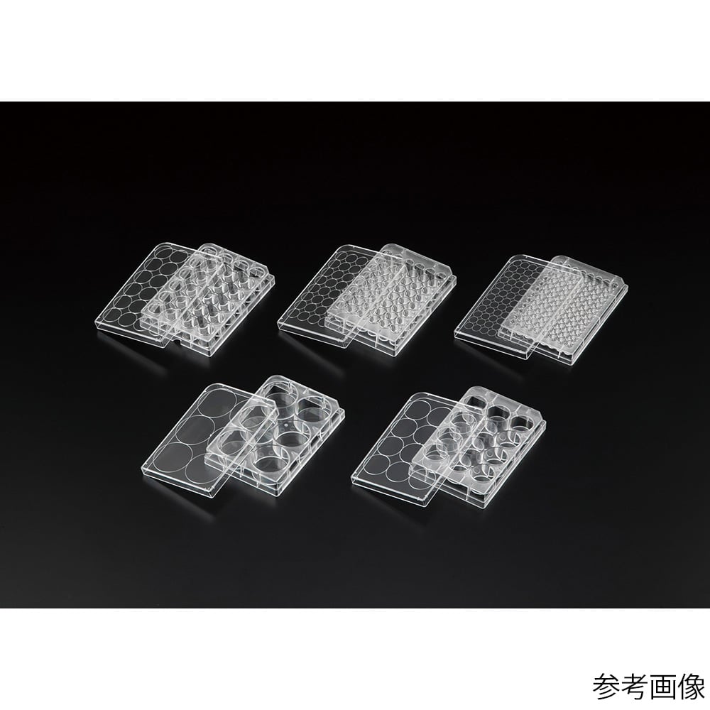 비오라모 세포 배양 플레이트 α 6웰 1상자(50포입) VTCa-P6 1상자(50포입)