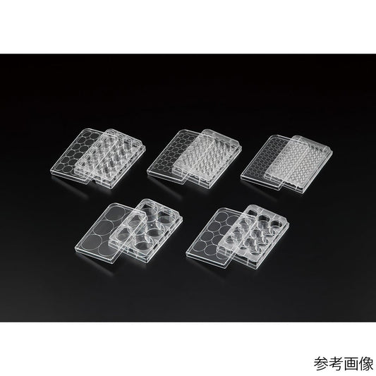 비오라모 세포 배양 플레이트 α 6웰 1상자(50포입) VTCa-P6 1상자(50포입)