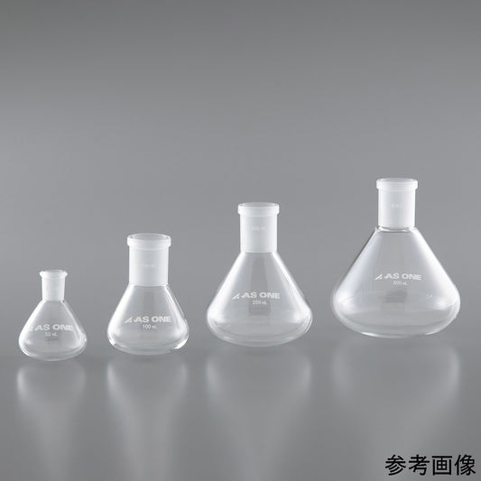 平底ナスフラスコ（共通摺合） 100mL　FE100 1個