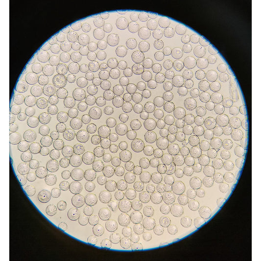 球体バイオキャリアー 25g入　C100025 1本(25g入)