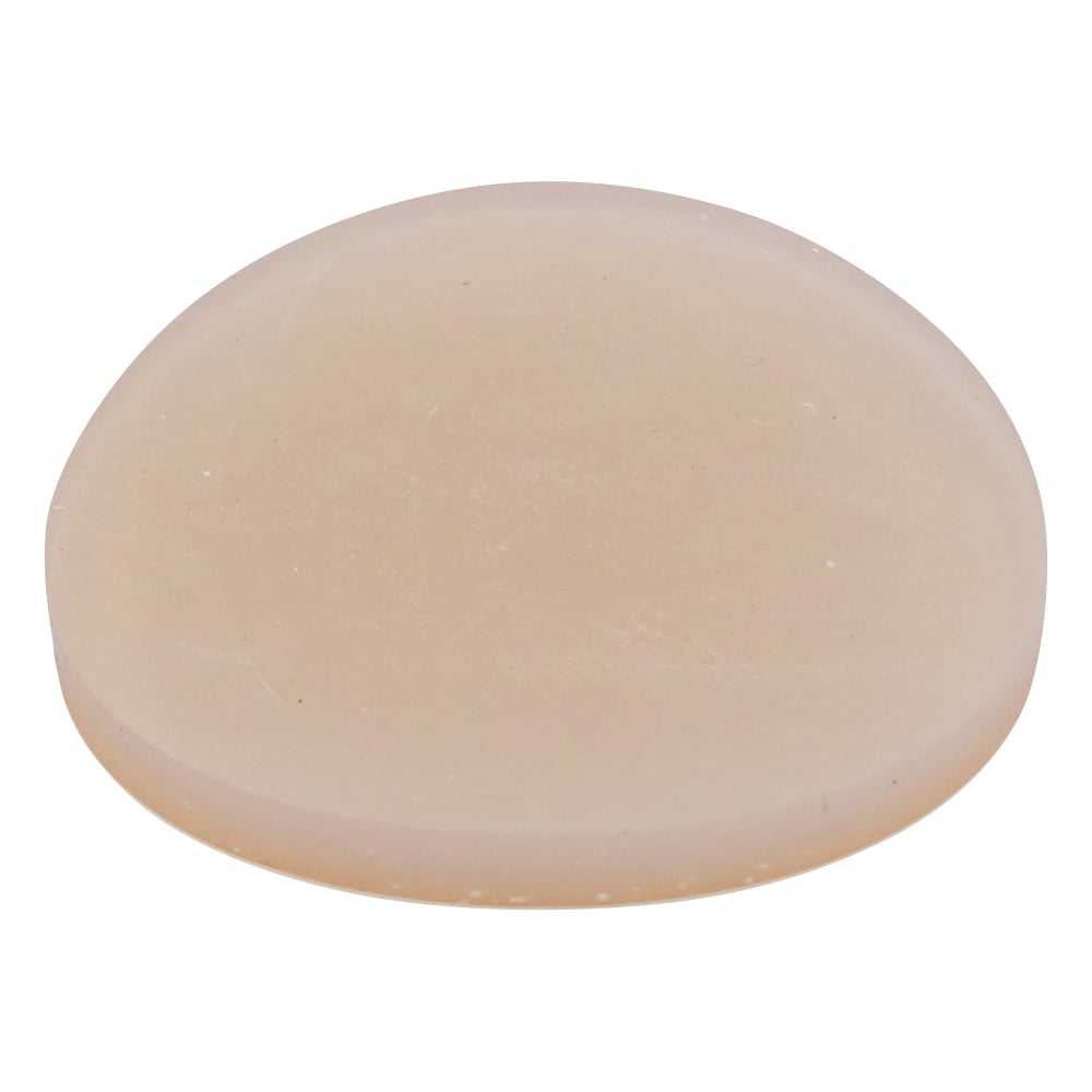 MININERT (R) Valve Inner Lid (for CV-400) 12pcs SL-22 1 box (12pcs)