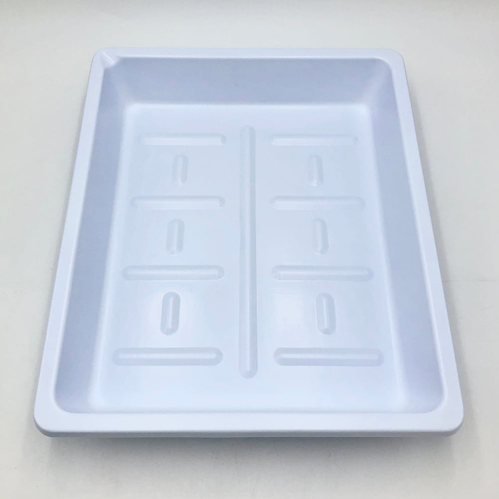 Plastic Photo Container Large Quarter Cut 1 piece