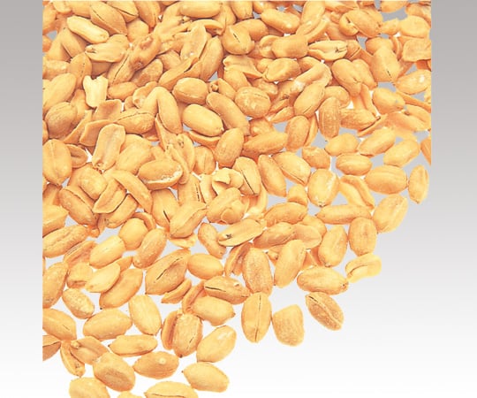 フードプロセッサー　DLC-NXJ2PS 1台