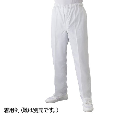 Cleanroom pants (for men, white) L FD300A-01 L 1 unit