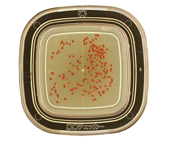 Bacteria detection medium DD Checker (DD Agar) 1 case (20 sheets x 2 boxes) 04200 1 case (20 sheets x 2 boxes)