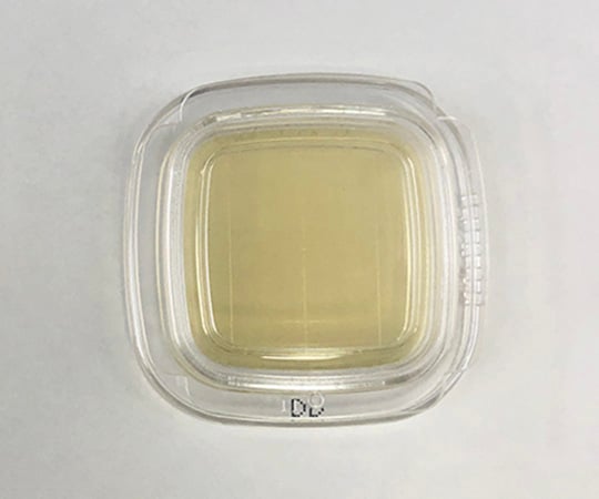 Bacteria detection medium DD Checker (DD Agar) 1 case (20 sheets x 2 boxes) 04200 1 case (20 sheets x 2 boxes)