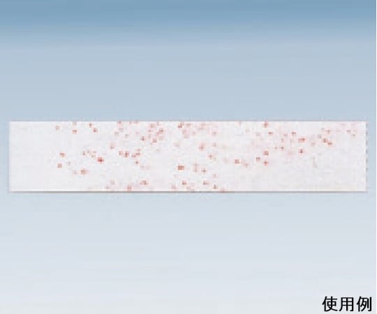 산코리 간이균 검출지 (대장균군용) 1상자(100장입) 00001 1상자(100장입)