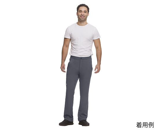 HH WORKS Scrub Pants RYAN Size L Gray 9590S-M-Pe 1 piece