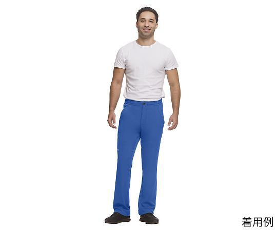 HH WORKS 스크럽 팬츠 RYAN S 상당 로얄 블루 9590S-XS-Ro 1장