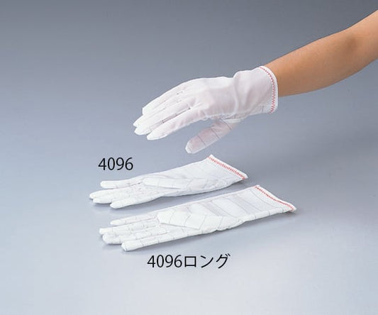 Dust-free gloves LL 10 pairs 4096 long 1 bag (10 pairs)