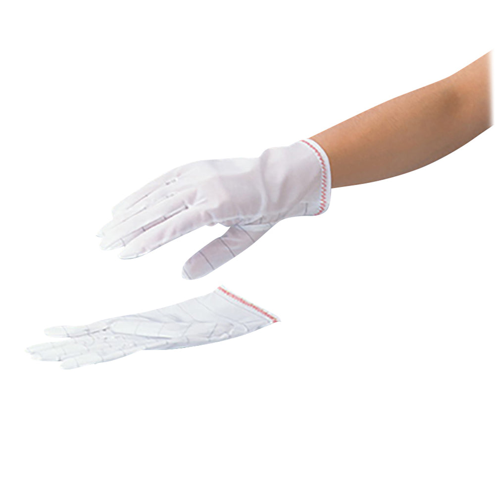 Dust-free gloves LL 10 pairs 4096 1 bag (10 pairs included)