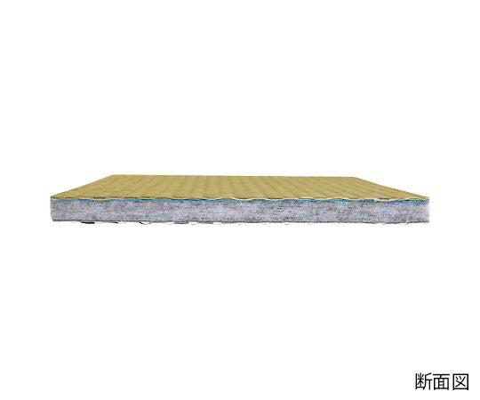 Lightweight and non-slip stick-on igusa mattress PRO, semi-double, 1360140011301, 1 piece