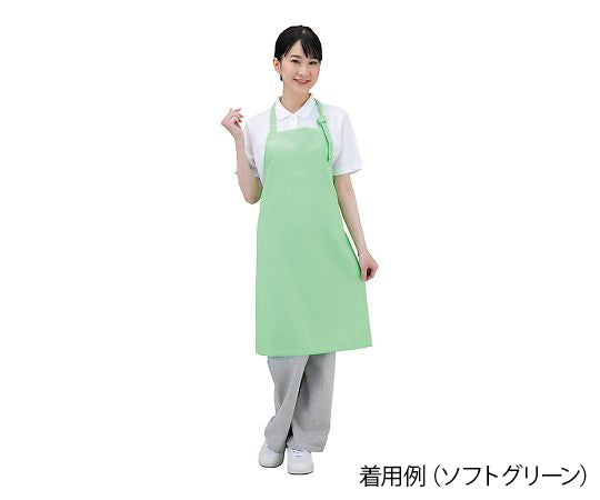 Antiviral Apron Dr.Earth® Neckwear Soft Green E3500-2 1 piece