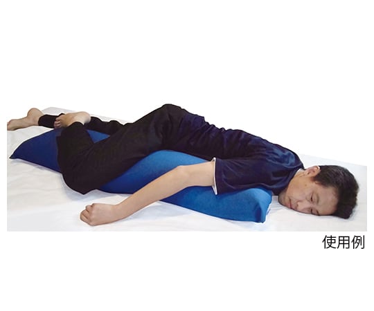 Sims Placement Pillow 1 piece