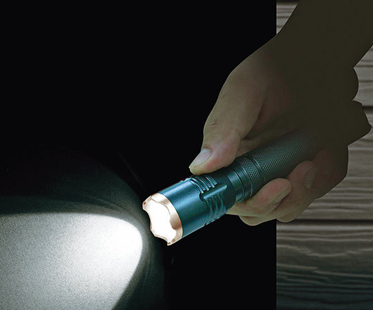 フォーカスハンドライト STY-LED Φ28×155mm　SE-19 1本