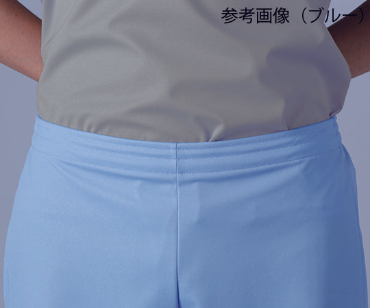 入浴介護ハーフパンツ (男女兼用) ブルー LL　403341-10 1枚