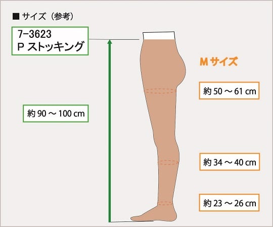 弾性ストッキング（パンティストッキング）　クローズトゥ　M　SY-5001-M 1足