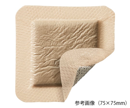 Mepilex(R) Border Ag 75×75mm 5 pieces 395200 1 box (5 pieces)