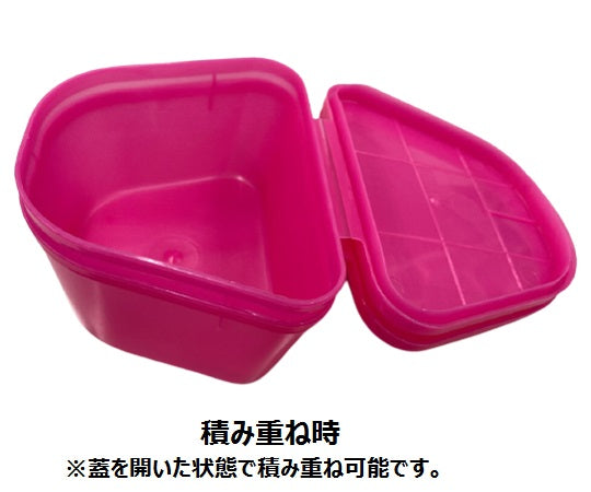 Denture case (with writing space) Green H980-92 1pc