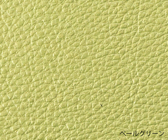 患者用チェア　ラバープロテクタ無し　ペールグリーン　TSS-W13BL 1台