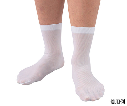 ディスポソックス（50足入）　DS31FS100 1袋(50足入)